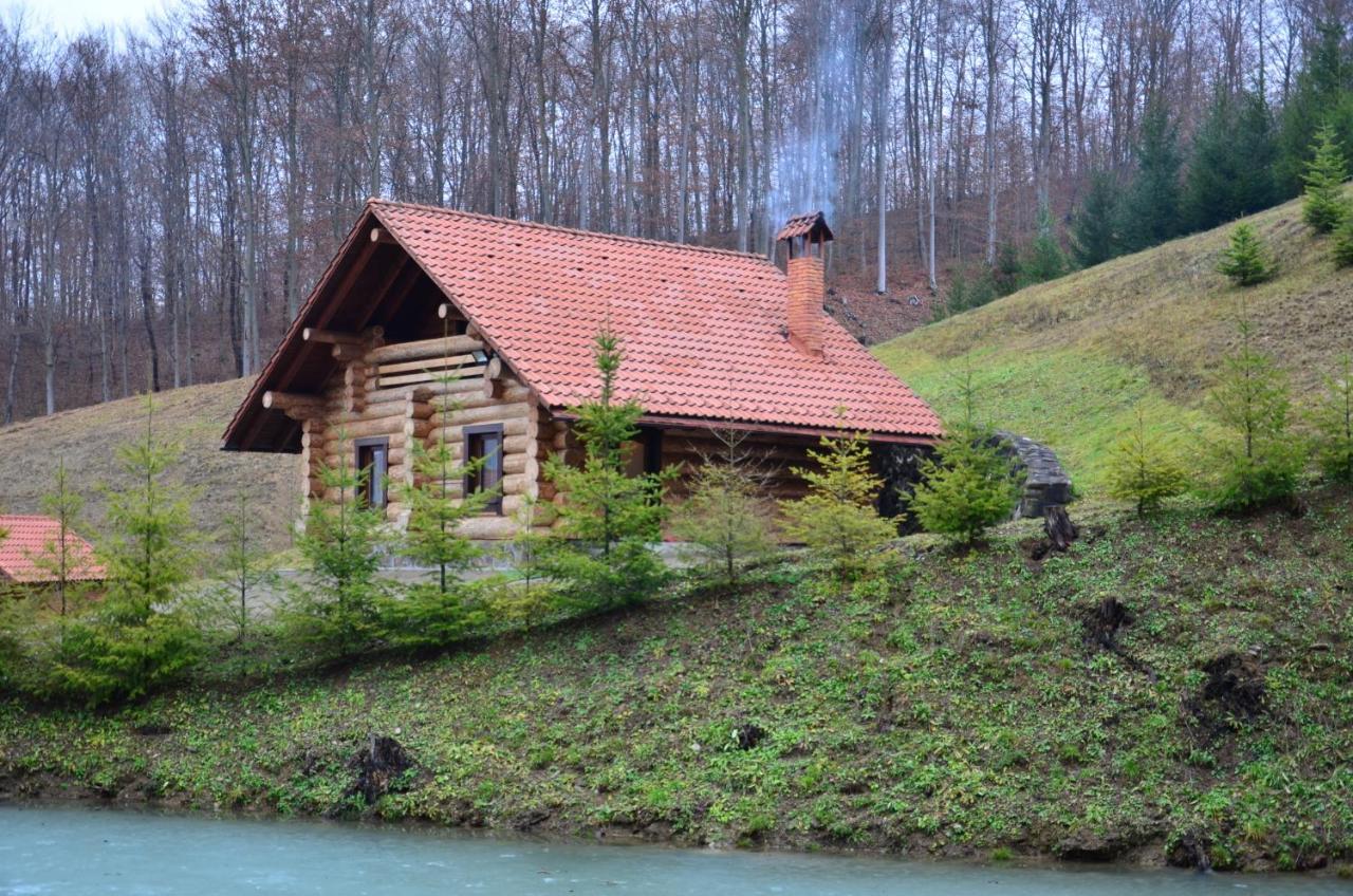 Комплекс Скала Villa Serednye Vodyane Dış mekan fotoğraf
