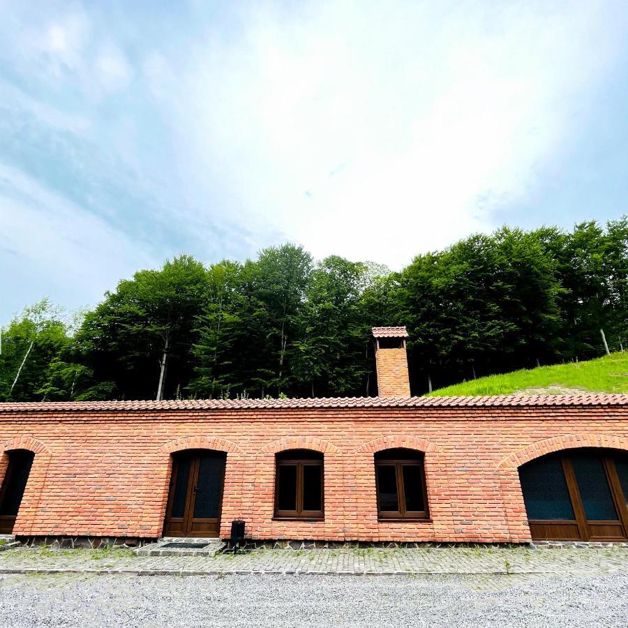 Комплекс Скала Villa Serednye Vodyane Dış mekan fotoğraf